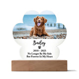 Light Up Pet Memorial Plaque, Personalized Paw Acrylic Gifts for Pet Loss, Dog Loss Gift