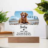 Light Up Pet Memorial Plaque, Personalized Paw Acrylic Gifts for Pet Loss, Dog Loss Gift