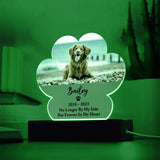 Light Up Pet Memorial Plaque, Personalized Paw Acrylic Gifts for Pet Loss, Dog Loss Gift