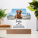 Light Up Pet Memorial Plaque, Personalized Paw Acrylic Gifts for Pet Loss, Dog Loss Gift