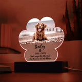 Light Up Pet Memorial Plaque, Personalized Paw Acrylic Gifts for Pet Loss, Dog Loss Gift