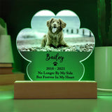 Light Up Pet Memorial Plaque, Personalized Paw Acrylic Gifts for Pet Loss, Dog Loss Gift