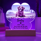 Light Up Pet Memorial Plaque, Personalized Paw Acrylic Gifts for Pet Loss, Dog Loss Gift