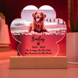 Light Up Pet Memorial Plaque, Personalized Paw Acrylic Gifts for Pet Loss, Dog Loss Gift